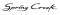 BVS LOGO